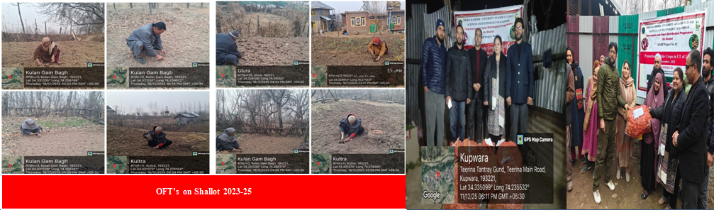 Conduct of OFT'S  for Shallot